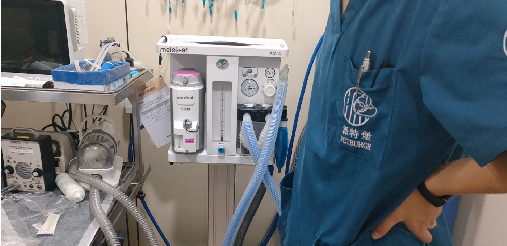 AM30 Veterinary Anesthesia Machine has installed at Pet Burgh Pet Hospital