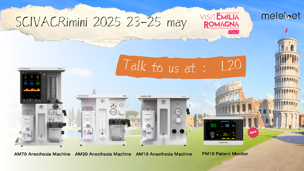Scivac Rimini