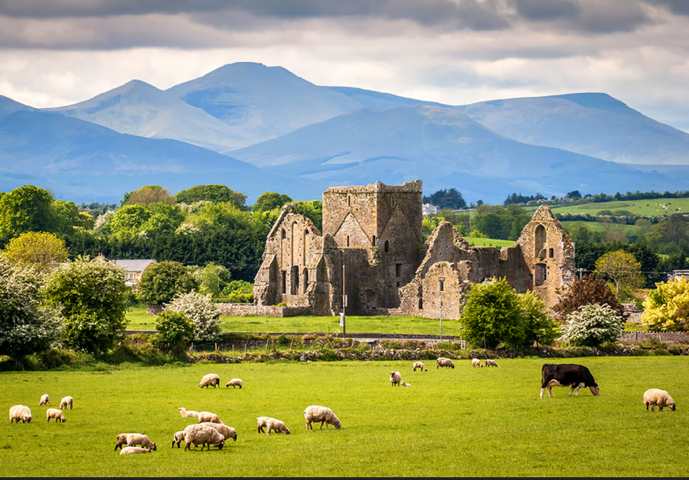 Technical Training Session with Duggan in Ireland