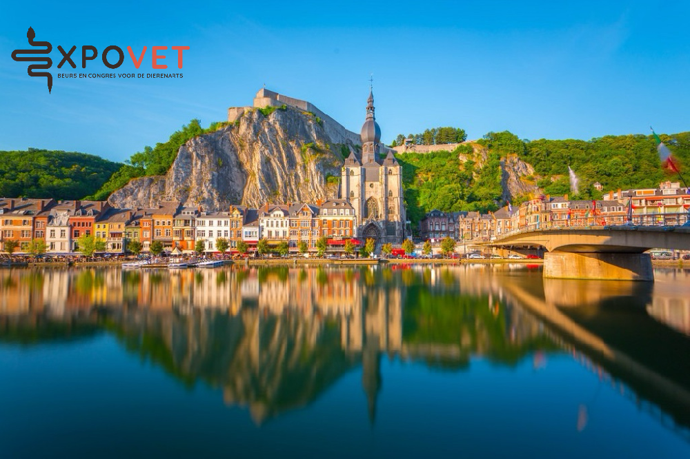 Expovet Belgium 2025: Melevet Highlights Advanced Veterinary Anesthesia Solutions