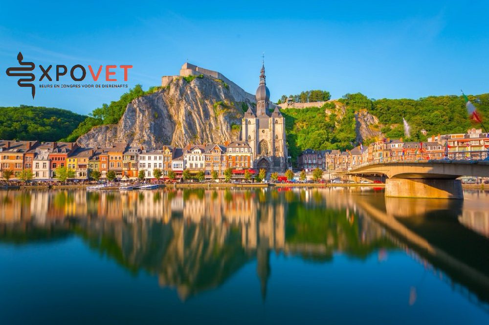 比利时Expovet 2025：Melevet呈现前沿兽医麻醉科技